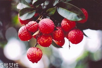 荔枝能放几天,荔枝能放几天不会坏