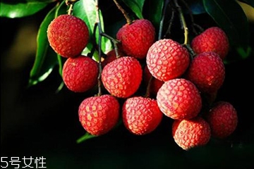 荔枝壳的功效和作用,荔枝壳的功效和作用点