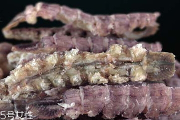 皮皮虾干好吃吗,皮皮虾干怎么吃