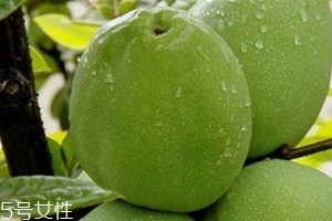 野木瓜可以泡酒吗,野木瓜怎么泡酒