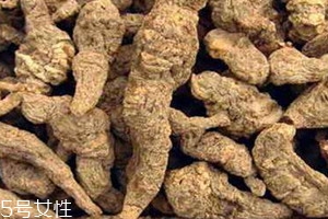 生地什么时候采收较好,生地什么时候种什么时候收