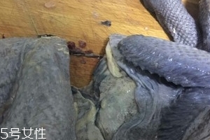 坐月子能吃乌鸡下奶吗,乌鸡是不是下奶的