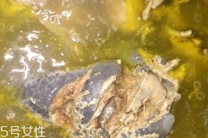 乌骨鸡哪里有卖的,乌骨鸡