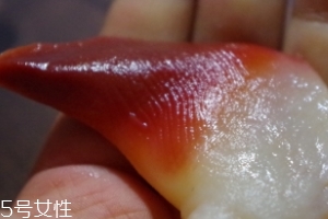 北极贝能不能煮熟了吃,北极贝能煮着吃吗