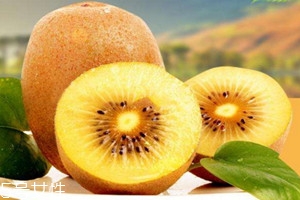 陕西徐香猕猴桃多少钱一斤,徐香猕猴桃多少钱一斤
