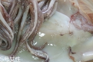 鱿鱼跟乌贼的区别,鱿鱼跟乌贼 鱿鱼跟乌贼的区别,鱿鱼跟乌贼