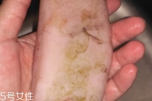 老鲜生鱿鱼仔,鱿鱼算海鲜么