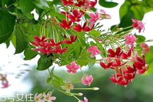 用药禁忌包括哪些内容,用药禁忌是什么意思