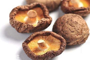 干香菇可以保存多久?,干香菇保存时间多长