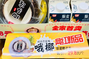 椰子冻好吃吗多少钱一个,椰子冻价格