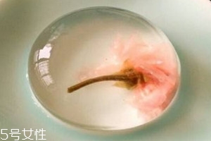 水信玄饼卖多少钱一个,水信玄饼图片