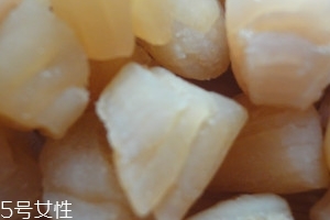 干贝和鲜贝的图片,干贝哪种好