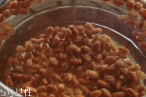 青稞茶的功效和作用及食用方法,青稞有什么功效