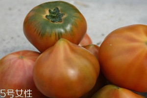 草莓柿子是转基因吗?,草莓柿子是不是转基因