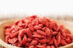 枸杞是什么地方的特产,枸杞最有名的产地哪些地方