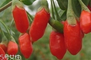 宁夏枸杞一斤多少钱,宁夏黑枸杞多少钱一斤