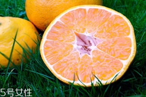 臭皮柑冰糖的做法,臭皮柑熬冰糖的作用