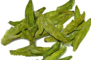 乌牛早茶属于什么茶,乌牛早茶属于什么茶类