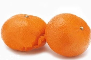 澳柑多少钱一斤,澳柑多少钱一斤2020