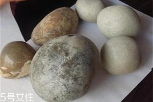 狗宝怎么卖到什么地方卖,狗宝怎么卖出去