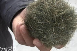 猪砂的价格,2019猪砂的成交价 猪砂的价格,2019猪砂的成交价