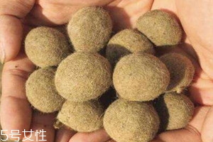 羊宝怎么出售,羊宝出售的联系方法