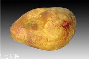 鸭宝的价值,鸭宝真正价值 鸭宝的价值,鸭宝真正价值