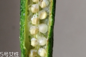 秋葵干好吃吗 什么味道,秋葵干好吃吗?