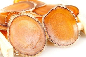 鹿茸片泡水喝可以吗,鹿茸片可以泡茶喝吗