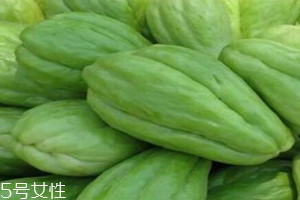 佛手瓜上市时间,佛手瓜几月份上市