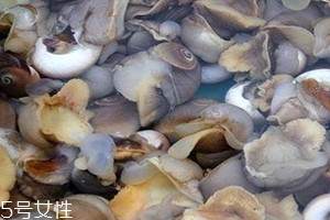 螺丝臭了还能吃吗,螺丝有点臭还能吃吗