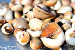 香螺哪些部位不能吃图解,香螺哪些部位不能吃视频分享 香螺哪些部位不能吃图解,香螺哪些部位不能吃视频分享