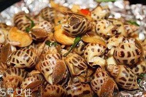 香螺多少钱一斤,香螺多少钱一斤2021