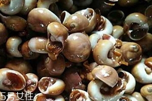 肚脐螺哪里不能吃,肚脐螺哪里不能吃,图片