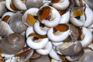 肚脐螺煮多久,肚脐螺煮多久能熟