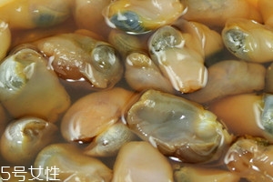 泥螺什么时候有海边,泥螺什么时候有黄 泥螺什么时候有海边,泥螺什么时候有黄