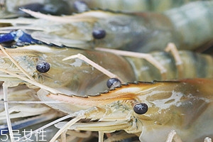 罗氏虾孕妇可以吃吗,罗氏虾孕妇可以吃吗s是不是海鲜