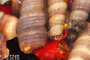 钉螺怎么吃里面的肉,钉螺怎么炒才好吃 钉螺怎么吃里面的肉,钉螺怎么炒才好吃