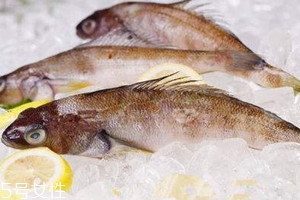 北极鱼为什么那么便宜,南极人为什么这么便宜