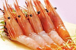 牡丹虾多少钱一斤,牡丹虾多少钱一只