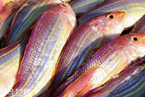 红杉鱼多少钱一斤?,红杉鱼价格是多少钱一斤