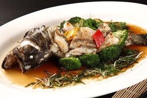 龙利鱼多少钱一斤2021,龙趸鱼多少钱一斤2021