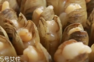 蛏子怎么清蒸,蛏子的清洗方法一,蛏子的烹饪做法