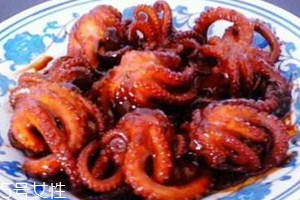 望潮和章鱼的区别图片,望潮和章鱼的区别