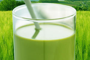 大麦若叶青汁多少钱一盒,大麦若叶青汁豆乳