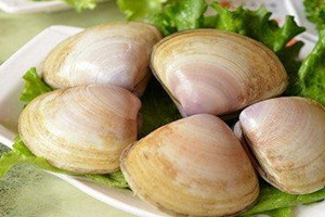 海蚌怎么吃法,象拔蚌怎么吃