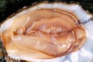 河蚌不能和什么一起吃吗,河蚌不可以和什么同吃