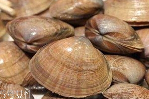 河蚌什么人不能吃,河蚌什么人不适合吃
