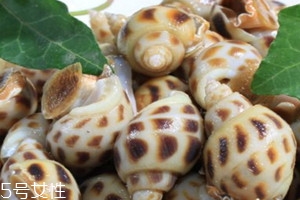 花螺不能和什么一起吃 有些禁忌不容小觑,花螺不能和什么一起吃?