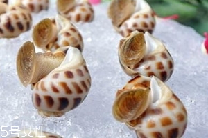花螺可以放冰箱冷藏吗,花螺可不可以放冷藏